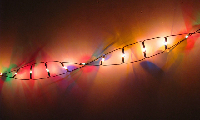 Het DNA van de perfecte kernboodschap
