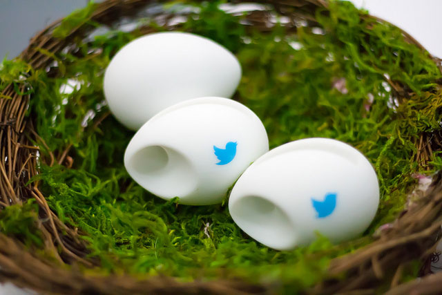 Het logo van Twitter op
eieren in een nestje
